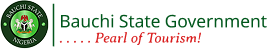 BSG logo